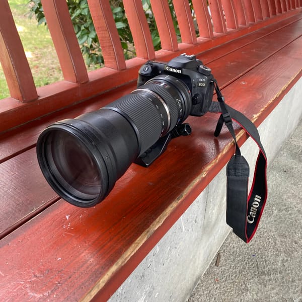 体验150-600mm长焦镜头