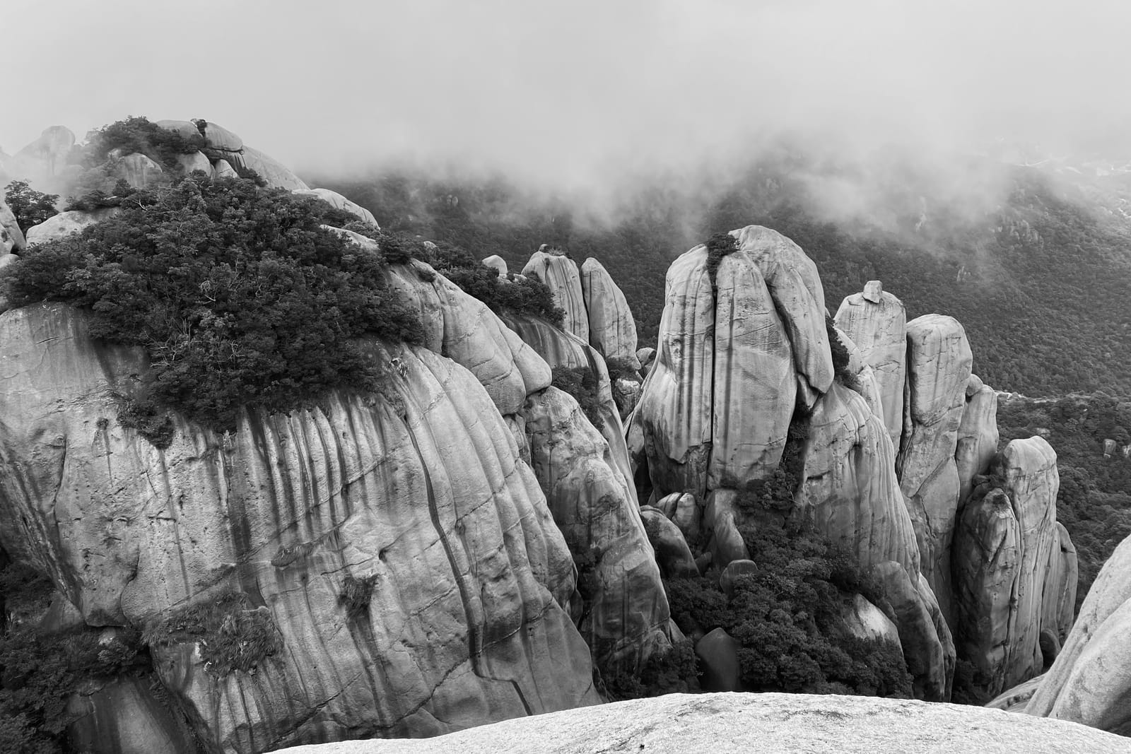 给Ghost Gallery组件增加放大图标